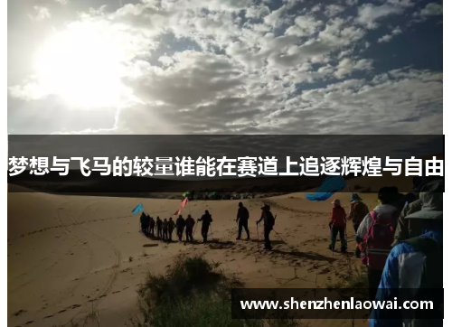梦想与飞马的较量谁能在赛道上追逐辉煌与自由